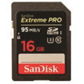 SDSDXPA-016G-X46 [16GB]
