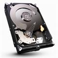 ST1000DM003 [1TB SATA600 7200]