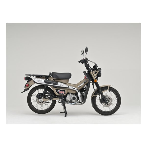 レックウザ デルタ種 1ED ハイドロバリア e-zoa.com｜[DAYTONA (デイトナ)] Z1 Z2 ゼファーなど