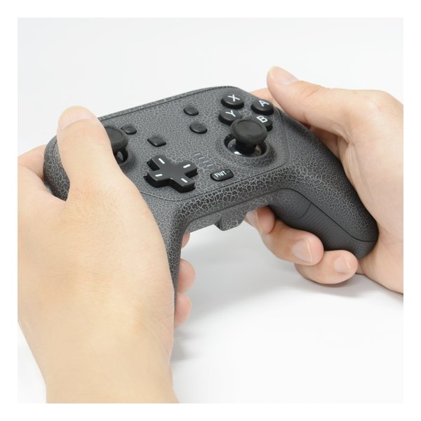 e-zoa.com｜[GAM(ゲームテック)] NSW用ワイヤレスゲーミング