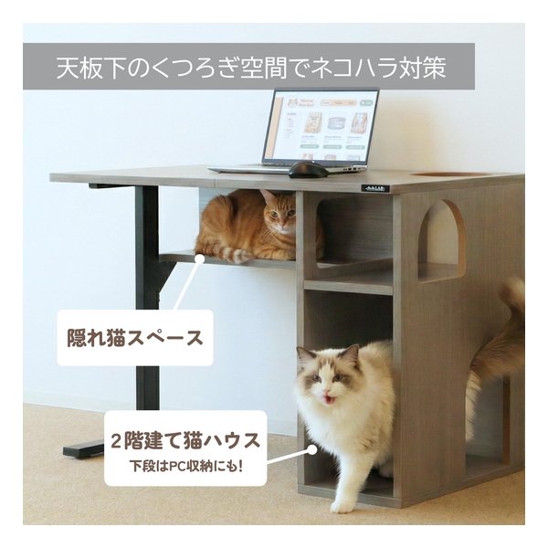 e-zoa.com｜[BIBILAB(ビビラボ)] 【ビビにゃお】猫家具 猫ハウスデスク