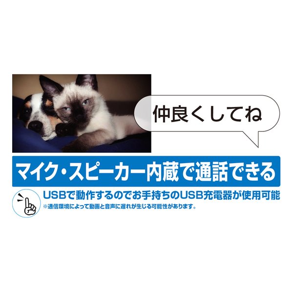 ZX-R30 公式限定ステッカー（小サイズ）付 | ZEXUS公式サイト