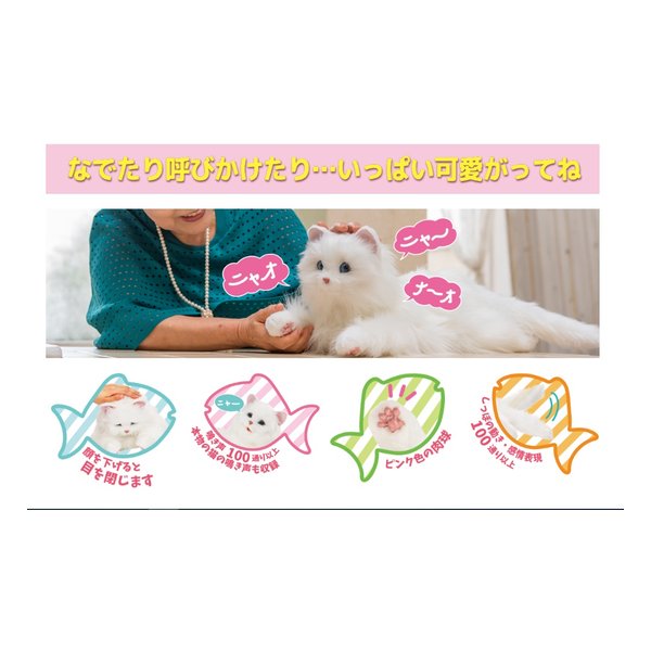 シナリー　R2など　ねこx2⭐︎様 シナリー R2など ねこx2⭐︎様 シナリーR2などブタネコ様