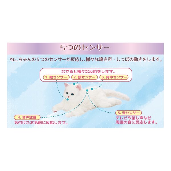 e-zoa.com｜[digirect (デジレクト)] 猫型ペットロボット [単2