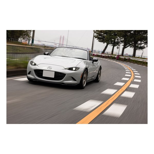 ペロ 31682226 : Spindle - front - Autoparts24