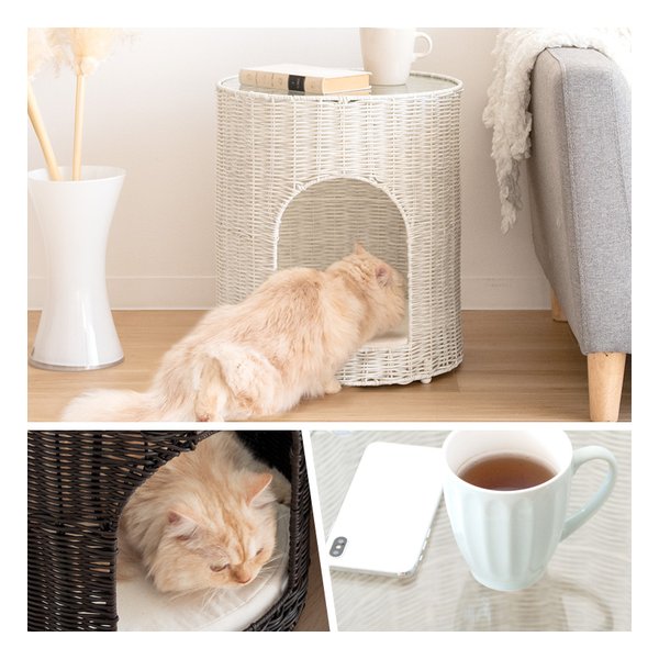 しろねこさん専用　ミハエルネグリン5点セット しろねこさん専用 ミハエルネグリン5点セット しろねこさん専用