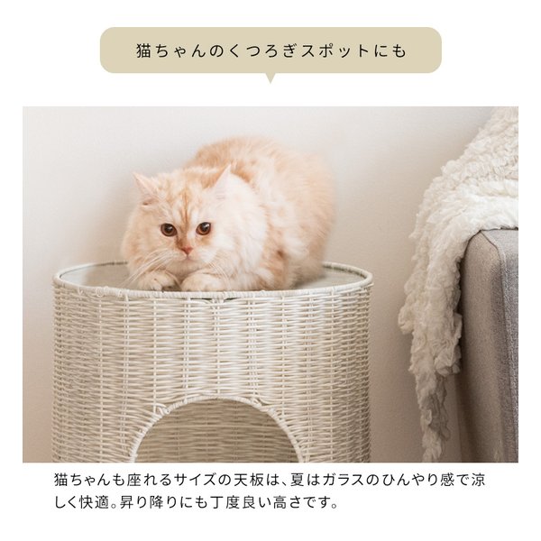 e-zoa.com｜[宮武製作所(ミヤタケセイサクジョ)] 猫ちぐら