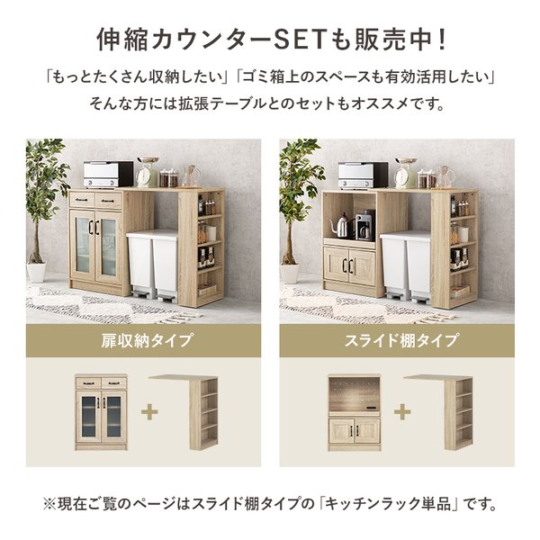 e-zoa.com｜[萩原 (ハギハラ)] キャビネット 組立式 スライド棚 2口