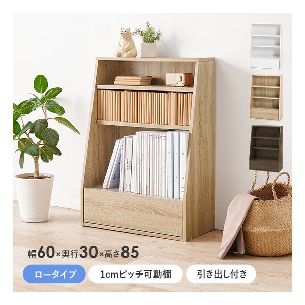 e-zoa.com｜[萩原 (ハギハラ)] ブックラック 組立式 可動棚2枚