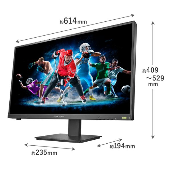 【add】ビカクシダセット　ジェニー　OMG　など＋リドレイ10株 add様専用】ビカクシダセット ジェニー OMG など＋リドレイ10株