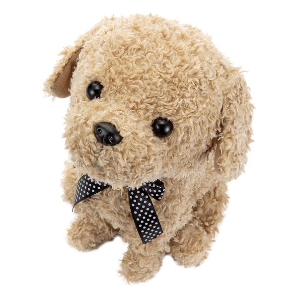 �R�R������������ �A�v���R�b�g