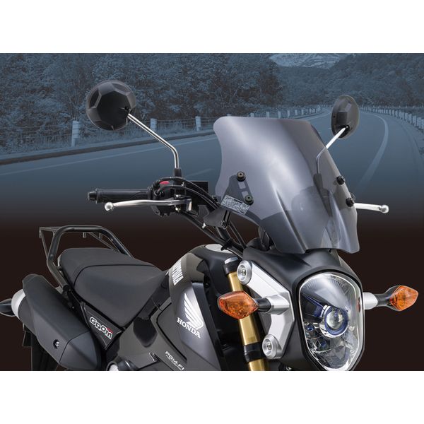 e-zoa.com｜[DAYTONA (デイトナ)] カウルスクリーン ウインド
