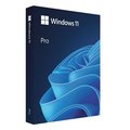 Windows 11 Pro ���{���