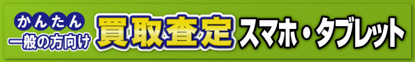 ʂ̕捸